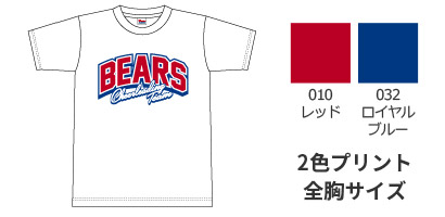 2色プリントTシャツ見積もり例