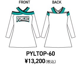 PYLTOP-60正